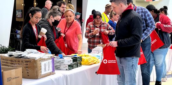 QVC Bags for Red Cross